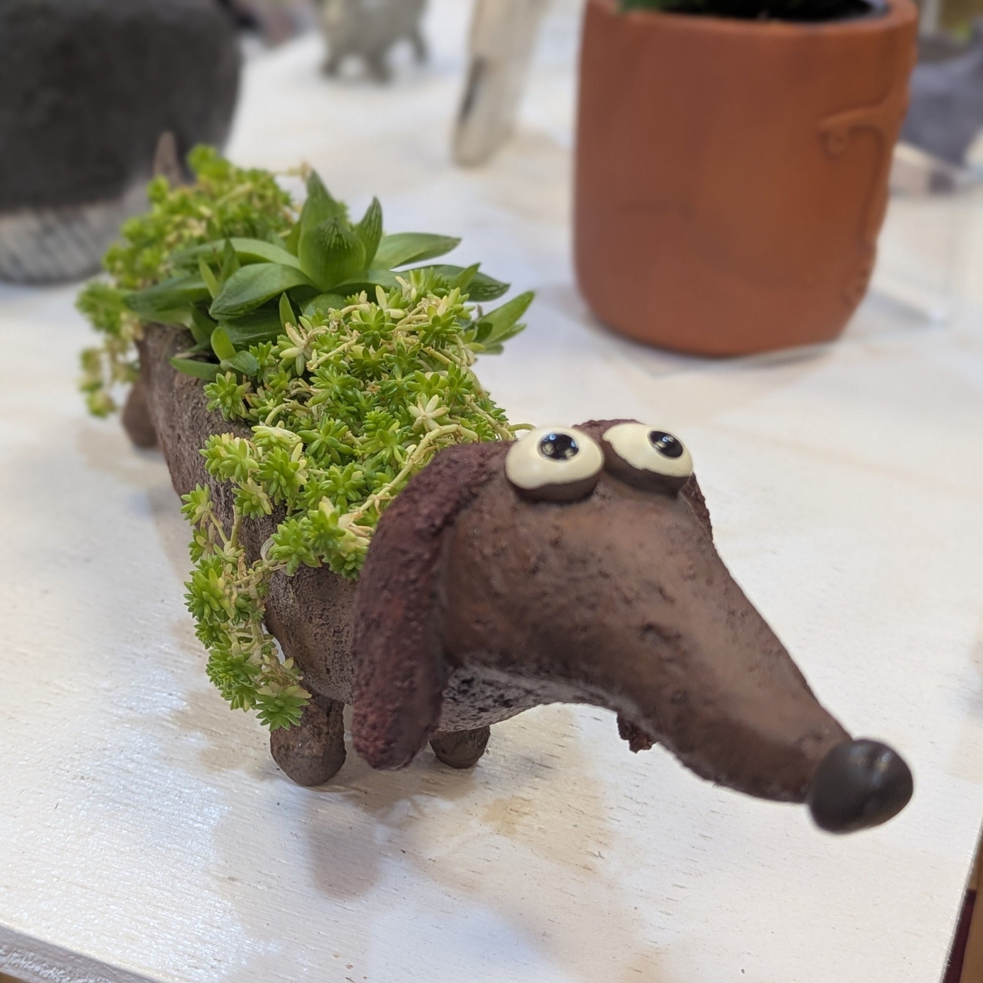 Dachshund shaped planter with potted plants on a shelf
