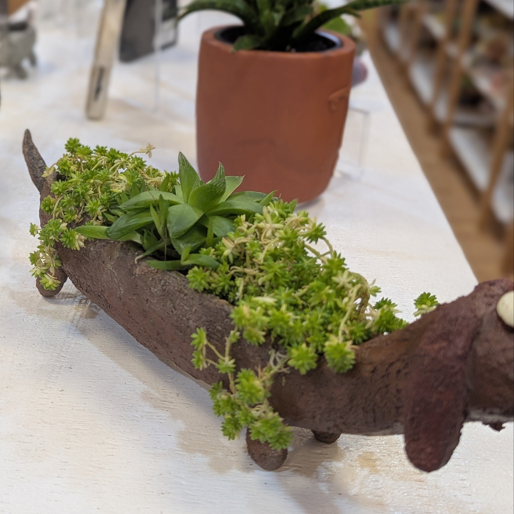 Decorative planter shaped like a dachshund with plants on a shelf