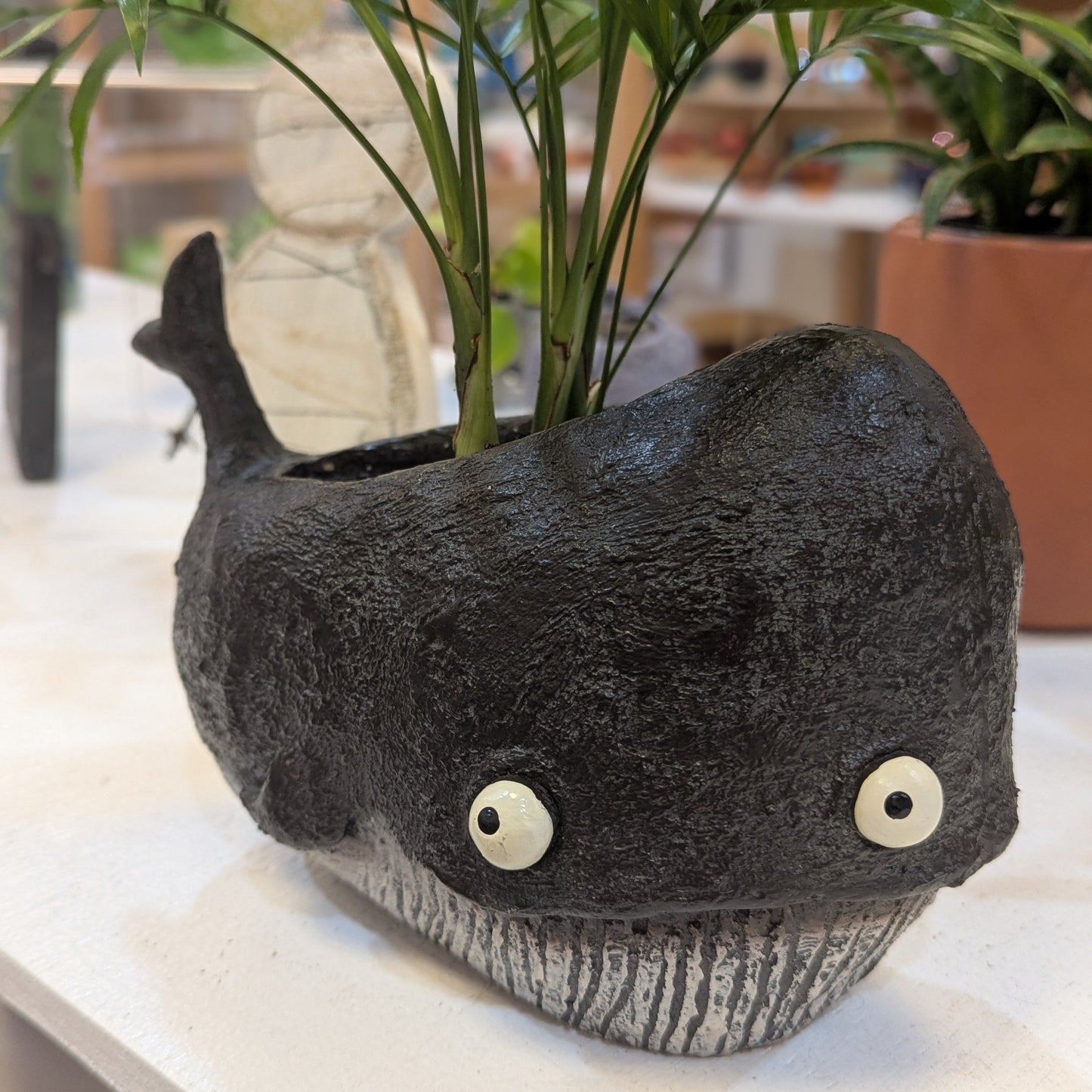 Whale planter close up with potted plants