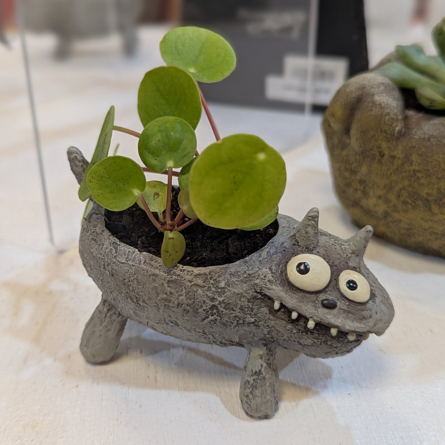 Little monster dog planter with potted plant inside on a shelf
