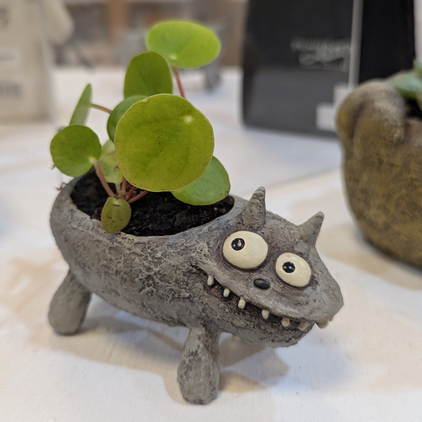 Lil Monster Planter w/ Potted Plants