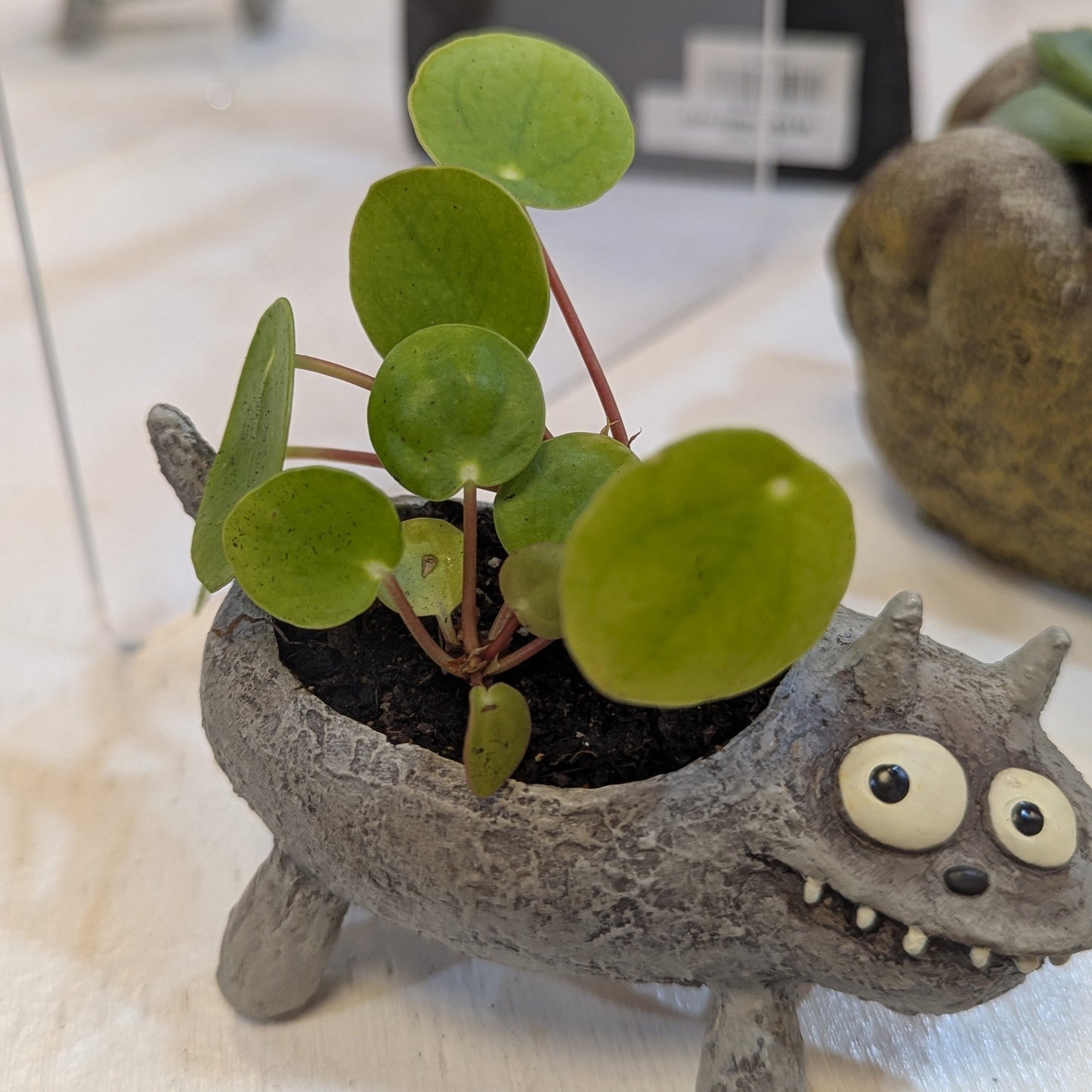 Lil Monster Planter w/ Potted Plants