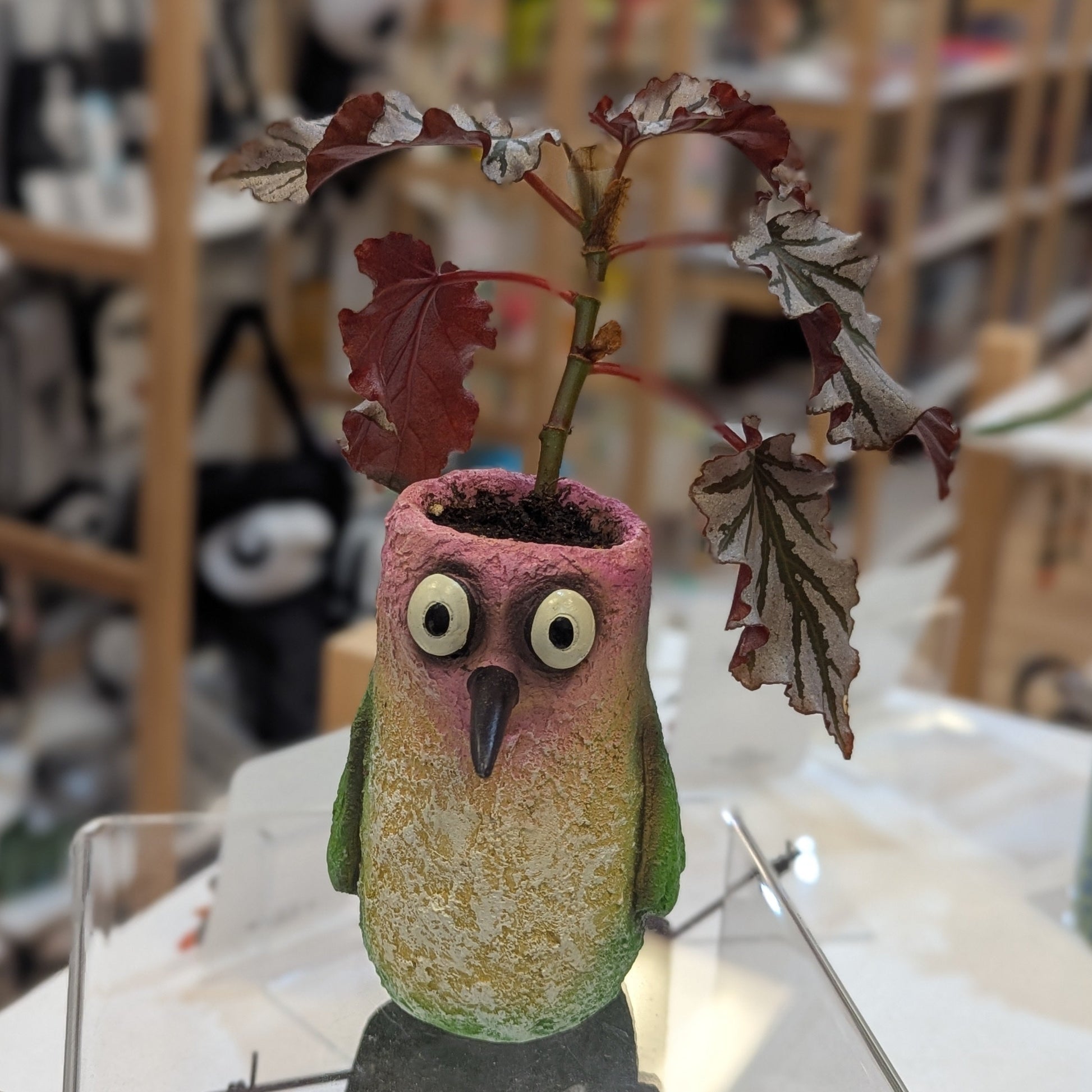 Bird shaped planter with potted plant shown on a shelf