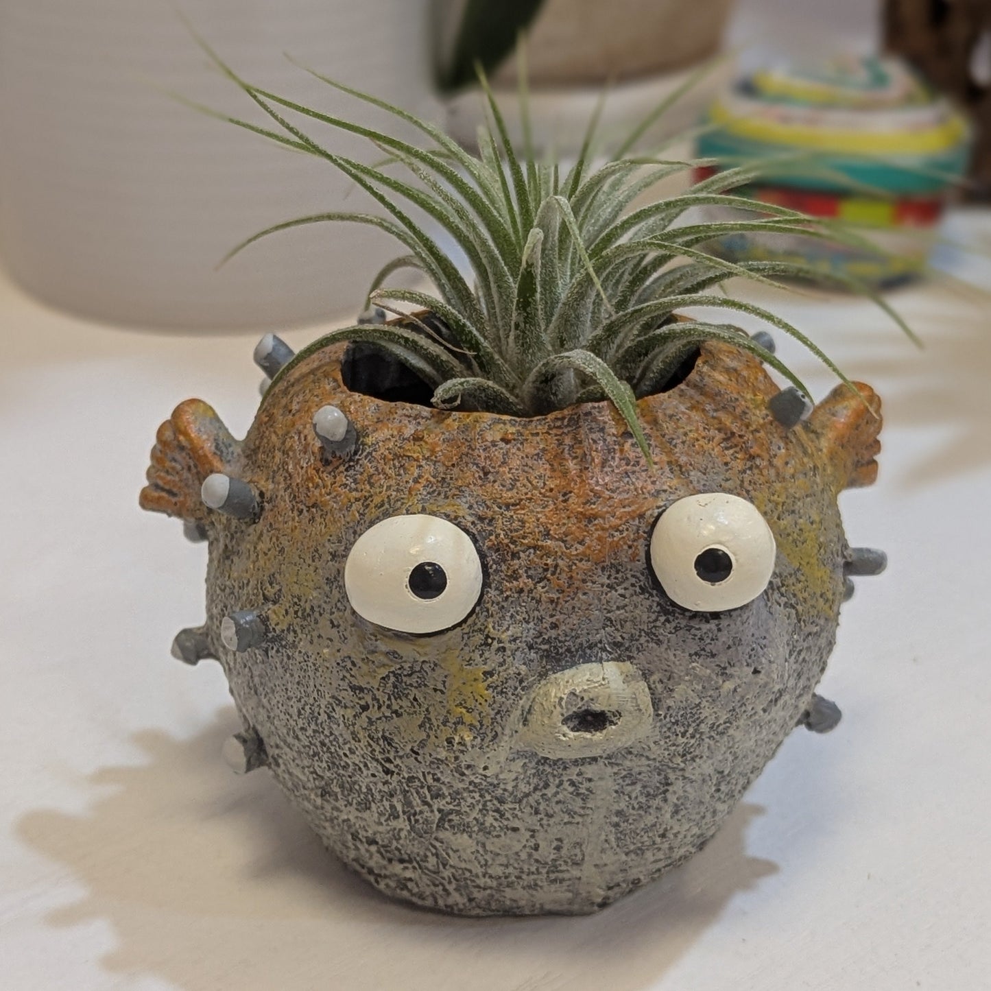 Blow Fish w/ Potted Plants