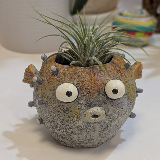 Blow Fish w/ Potted Plants