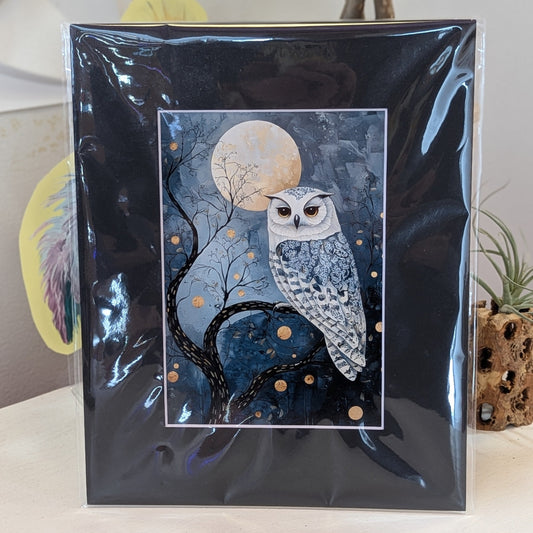 Owl and the Night Sky  8 x 10"