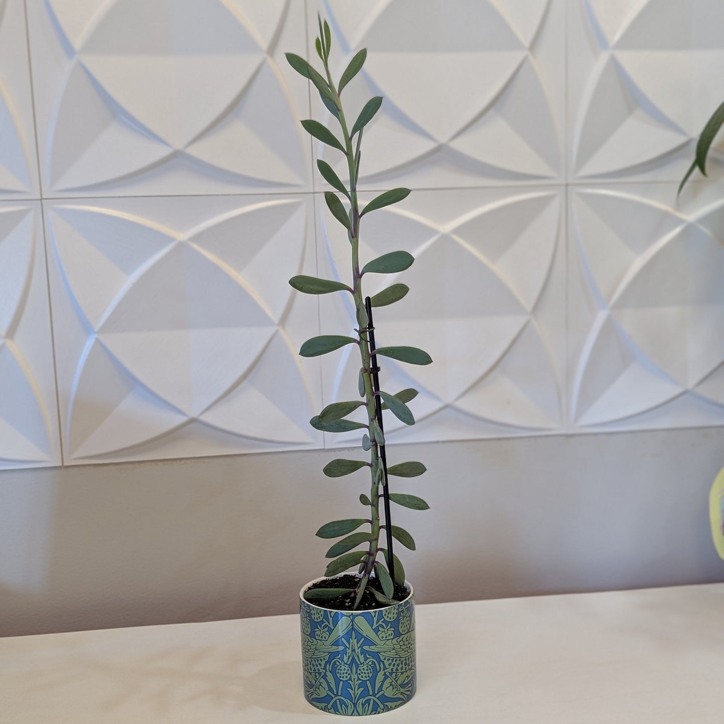 Floral Birds Planter w/ Succulents