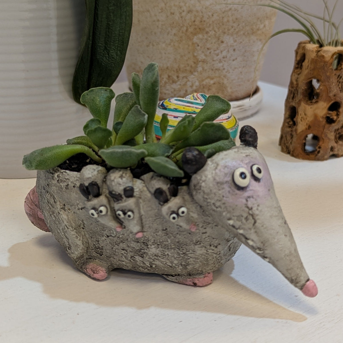 Opossum w/ Potted Plants