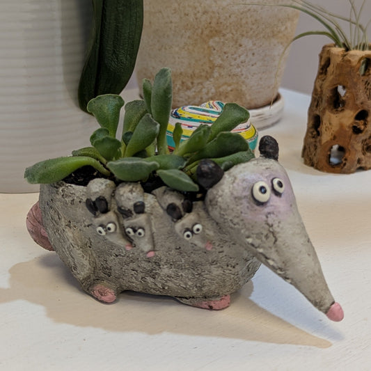 Possum w/ Potted Plants