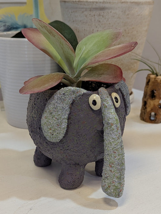 Elephant w/ Potted Plants