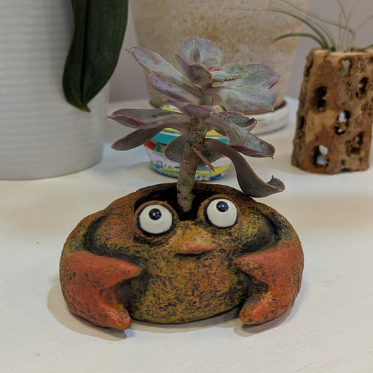 Crab w/ Potted Plants
