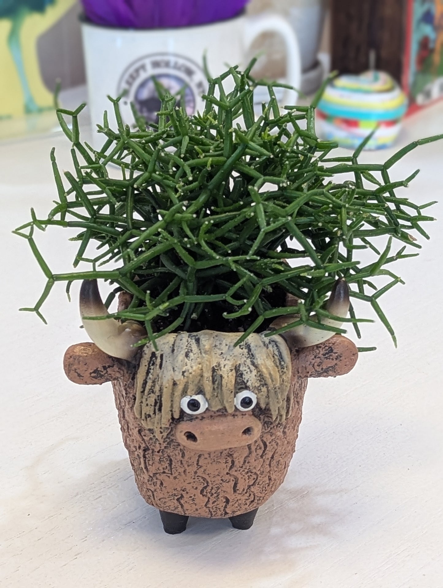 Highland Cow Blobhouse Planter