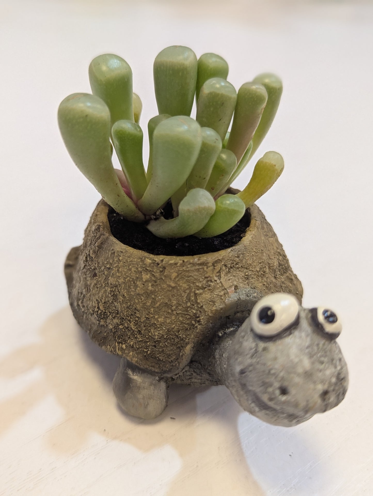 Baby Tortoise Mini Blobhouse Planter