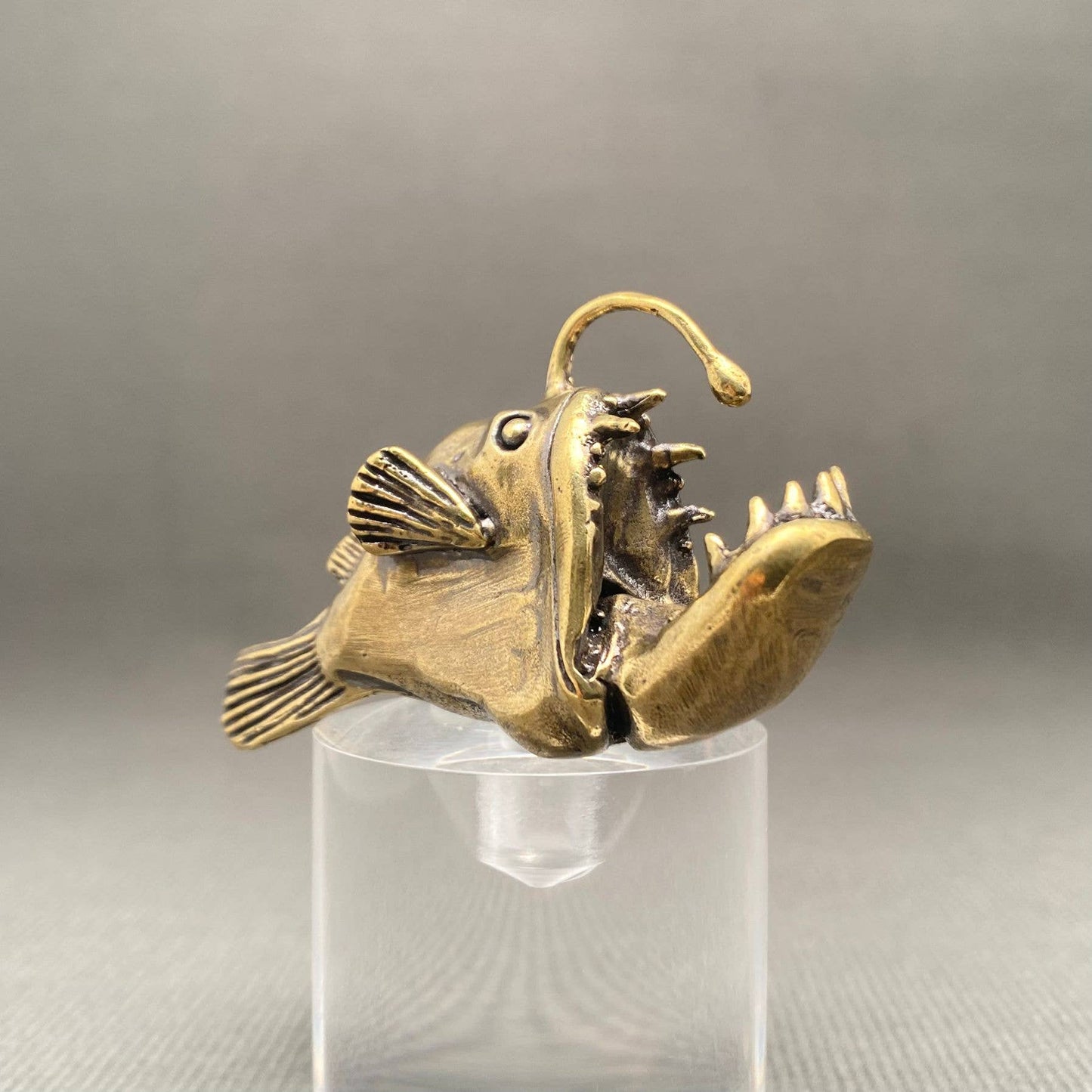 Brass Lantern fish figurine on a clear stand against a gray background