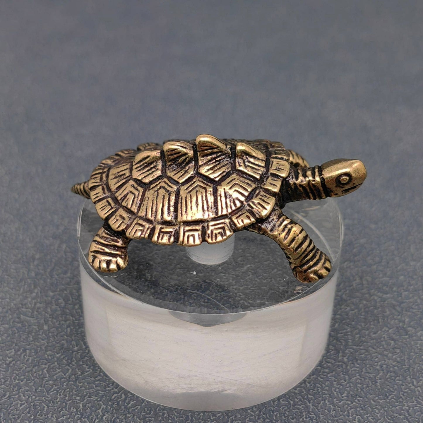 Brass turtle figurine on a clear cylindrical stand against a gray background