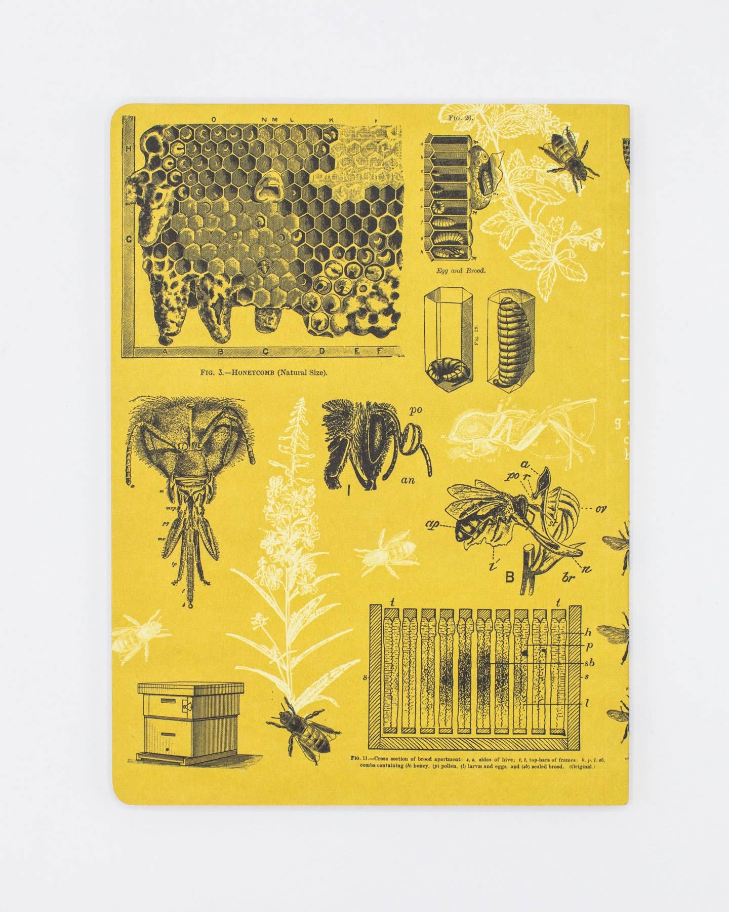 Bees Softcover Notebook Lined