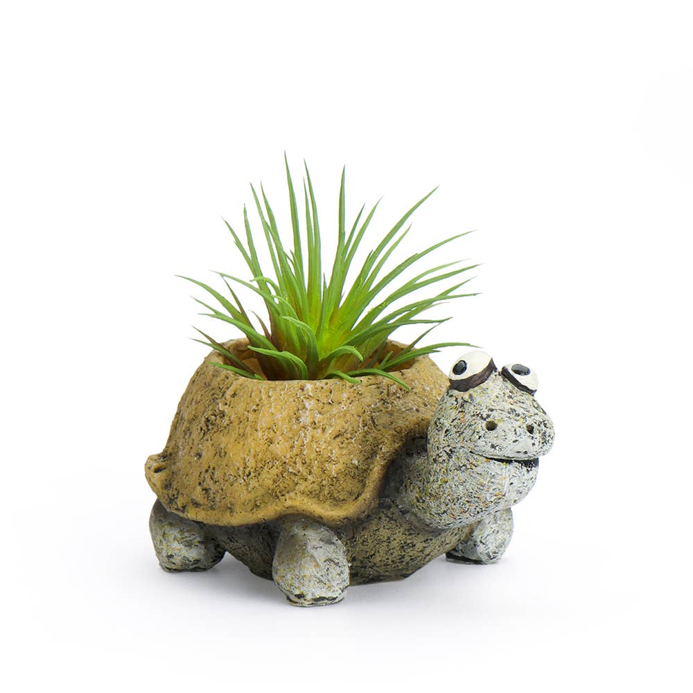 Ceramic turtle planter with a green plant on a white background