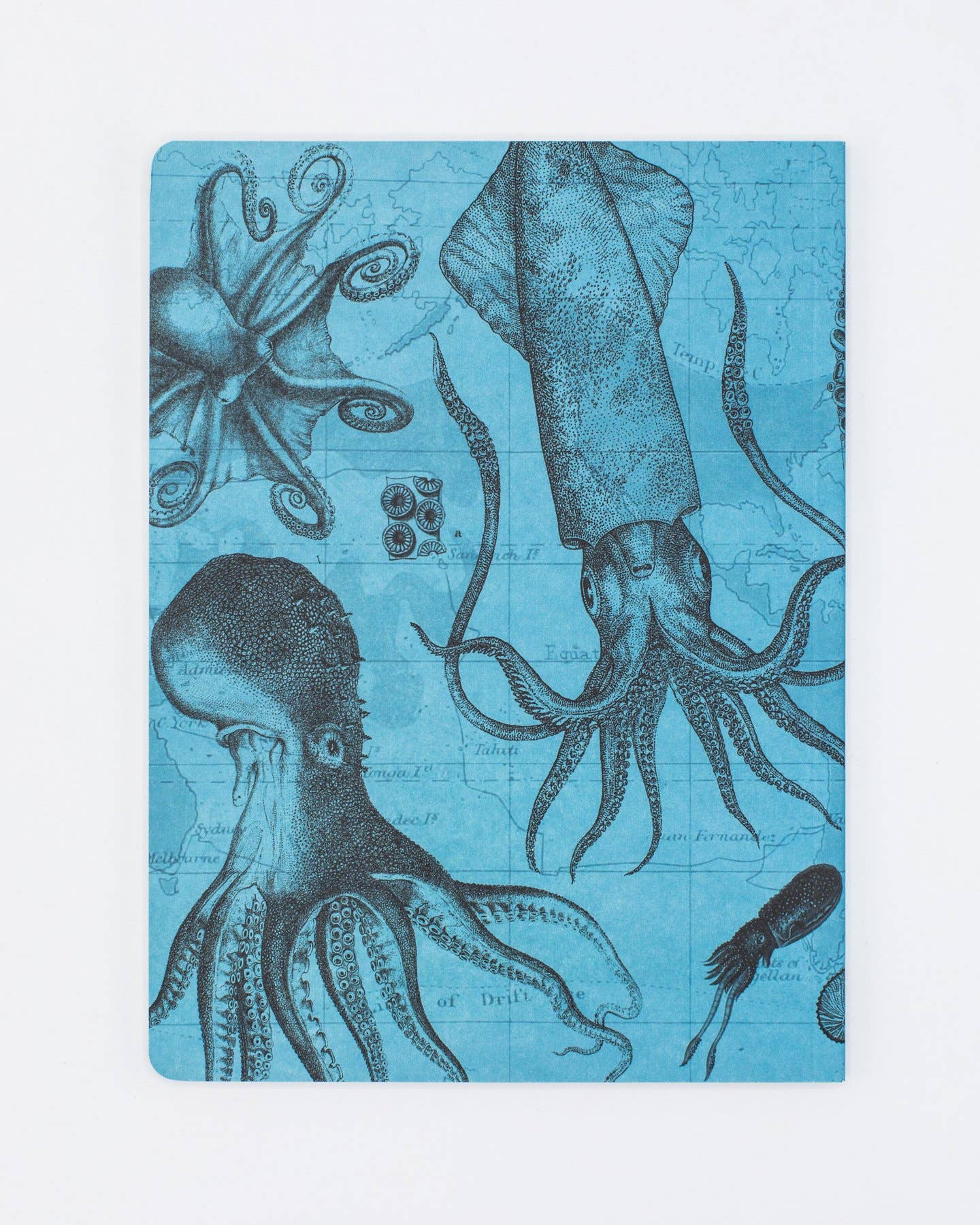 Cephalopods: Octopus & Squid Softcover Notebook