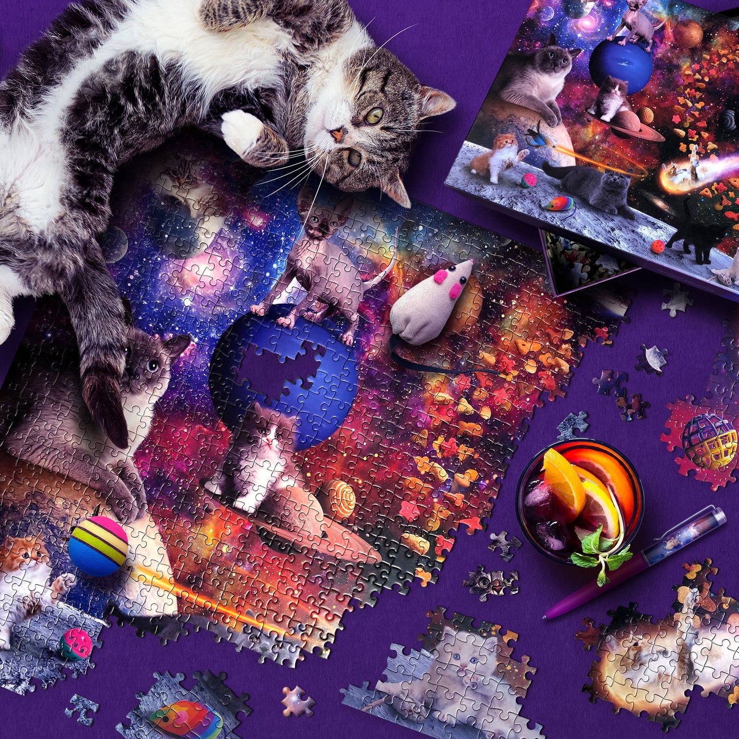 Galaxy Cats Puzzle 1000pc