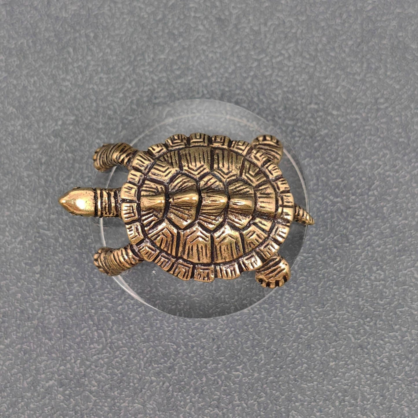 Brass Money Turtle Figurine
