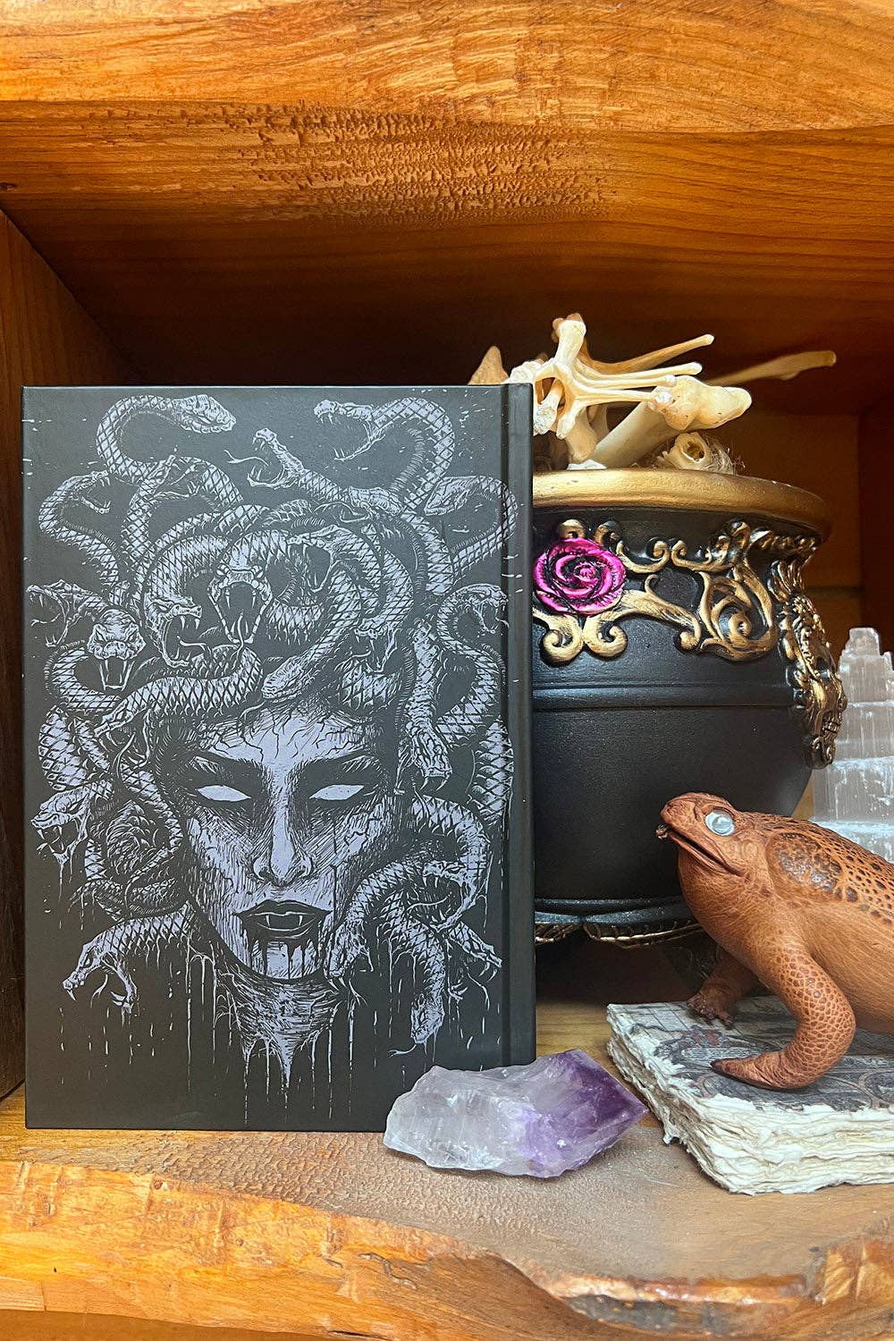 Medusa Journal