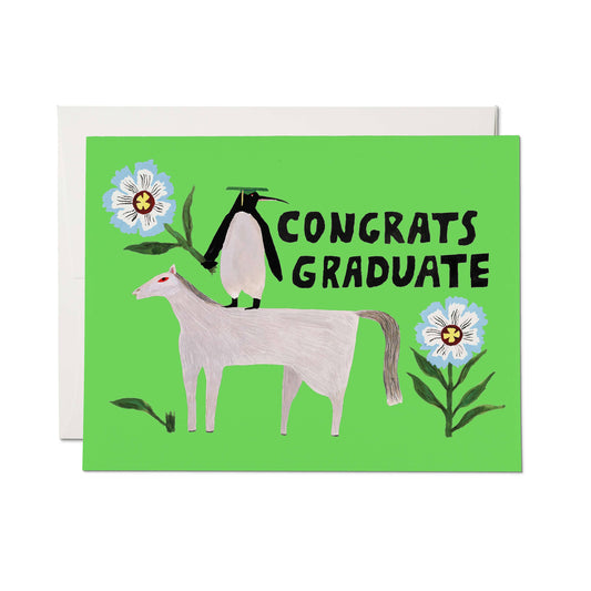 Penguin Pomp Grad greeting card