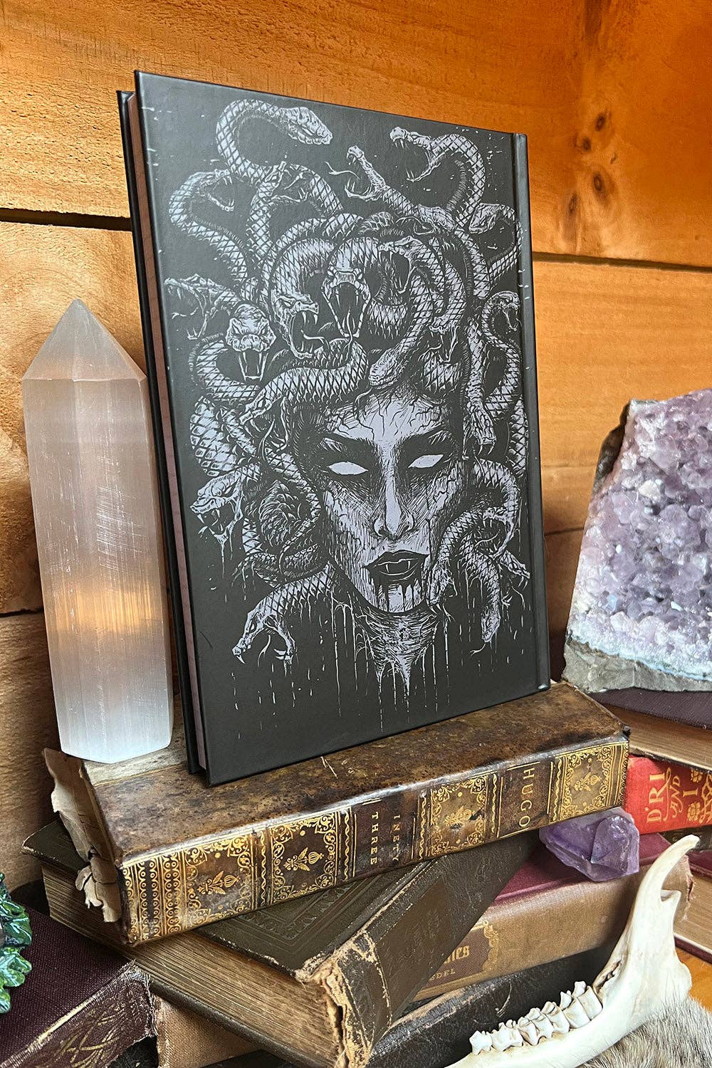 Medusa Journal