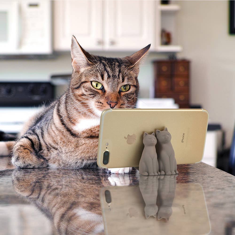 Cat Call - Phone Stand