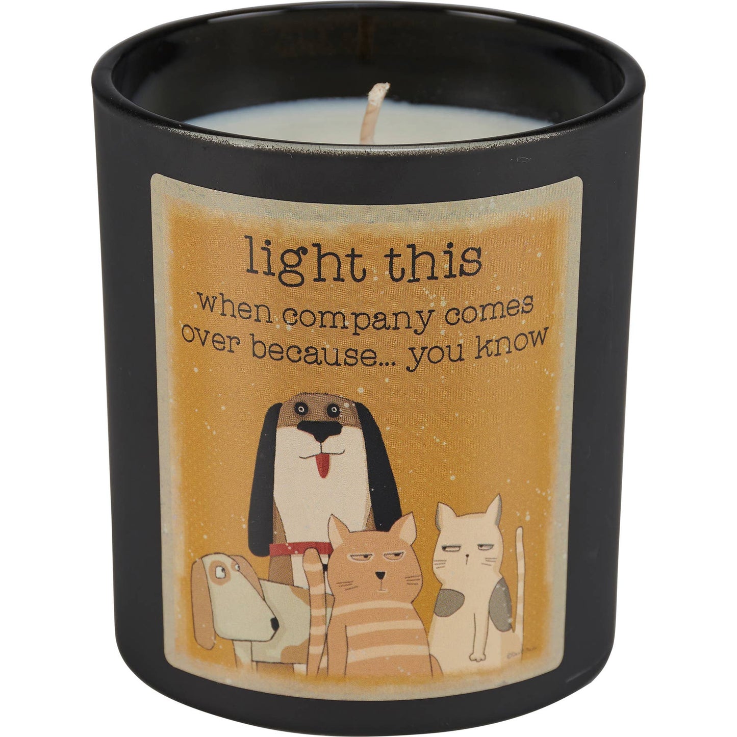 Light This When Company Comes Over Candle