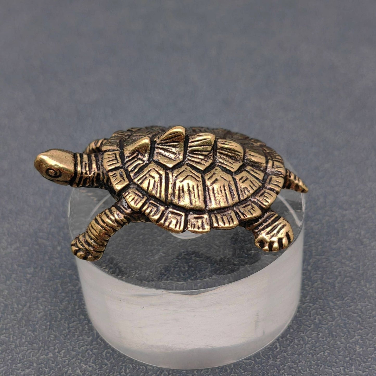 Brass Money Turtle Figurine