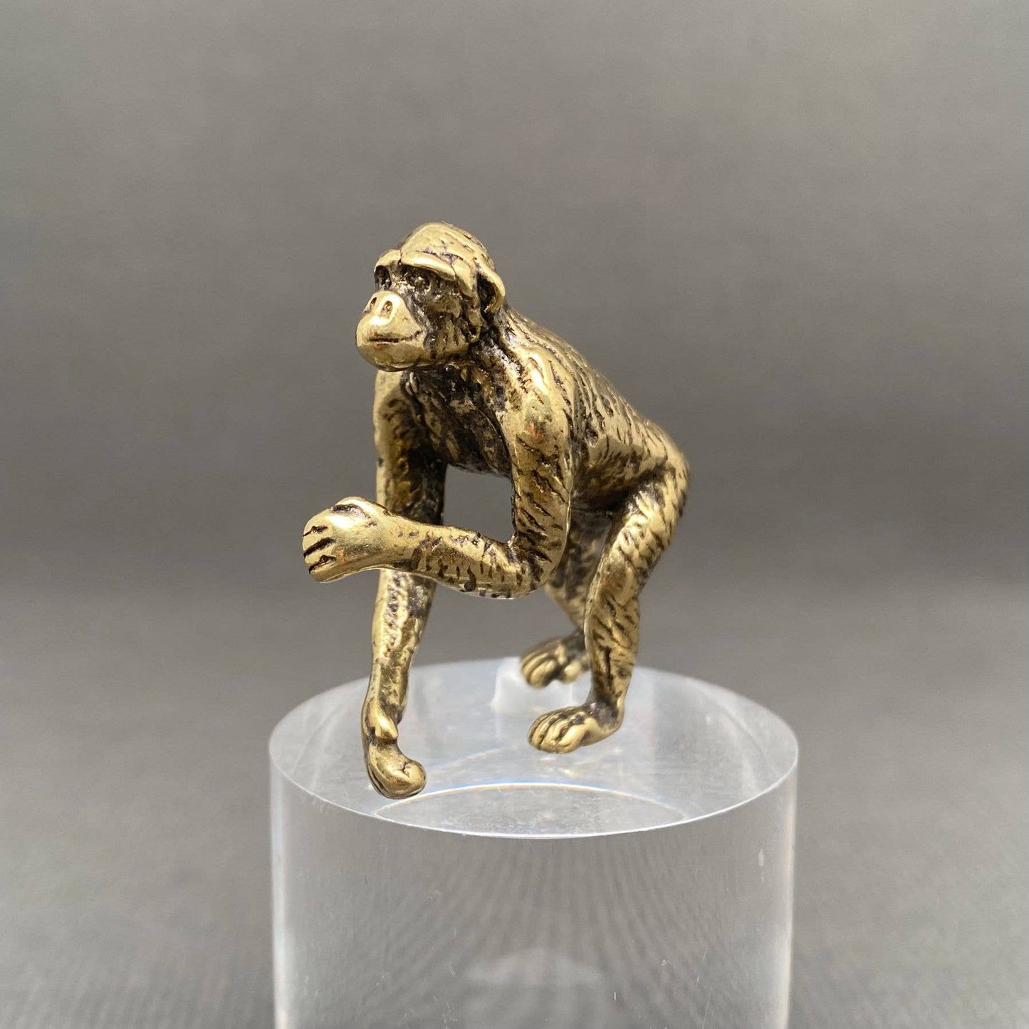 Brass Orangutan figurine on a clear stand against a gray background