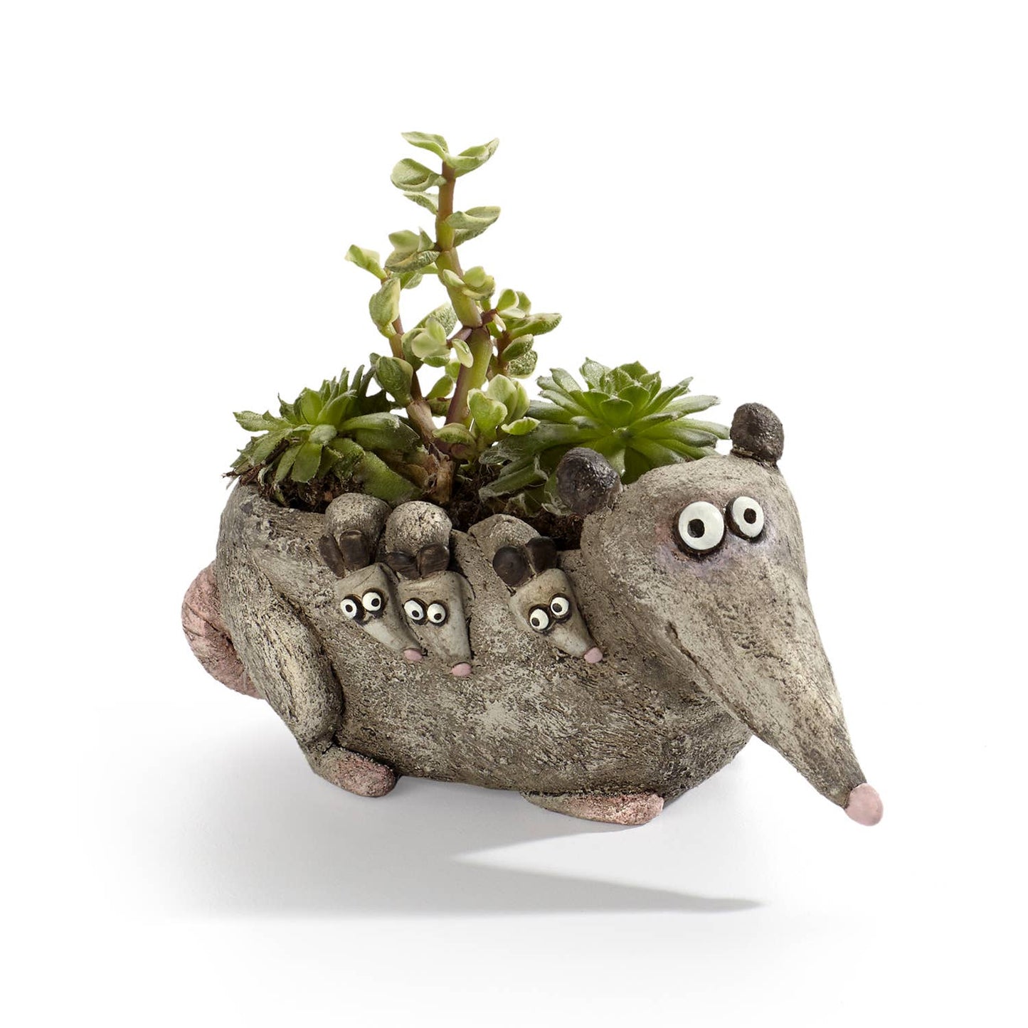Opossum-shaped planter with small opossum babies and plants on a white background