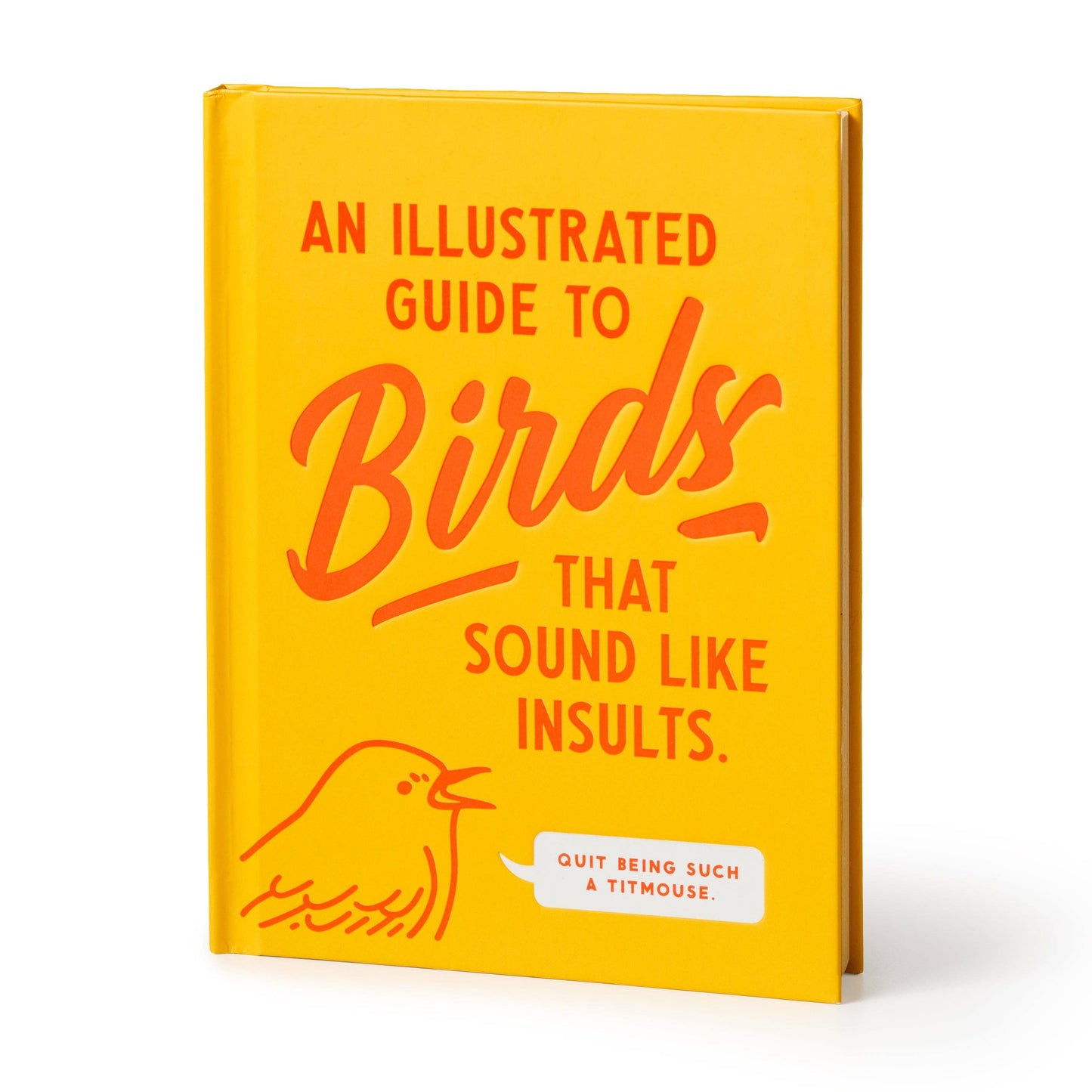 Book titled 'An Illustrated Guide to Birds That Sound Like Insults' with a yellow cover and red text.