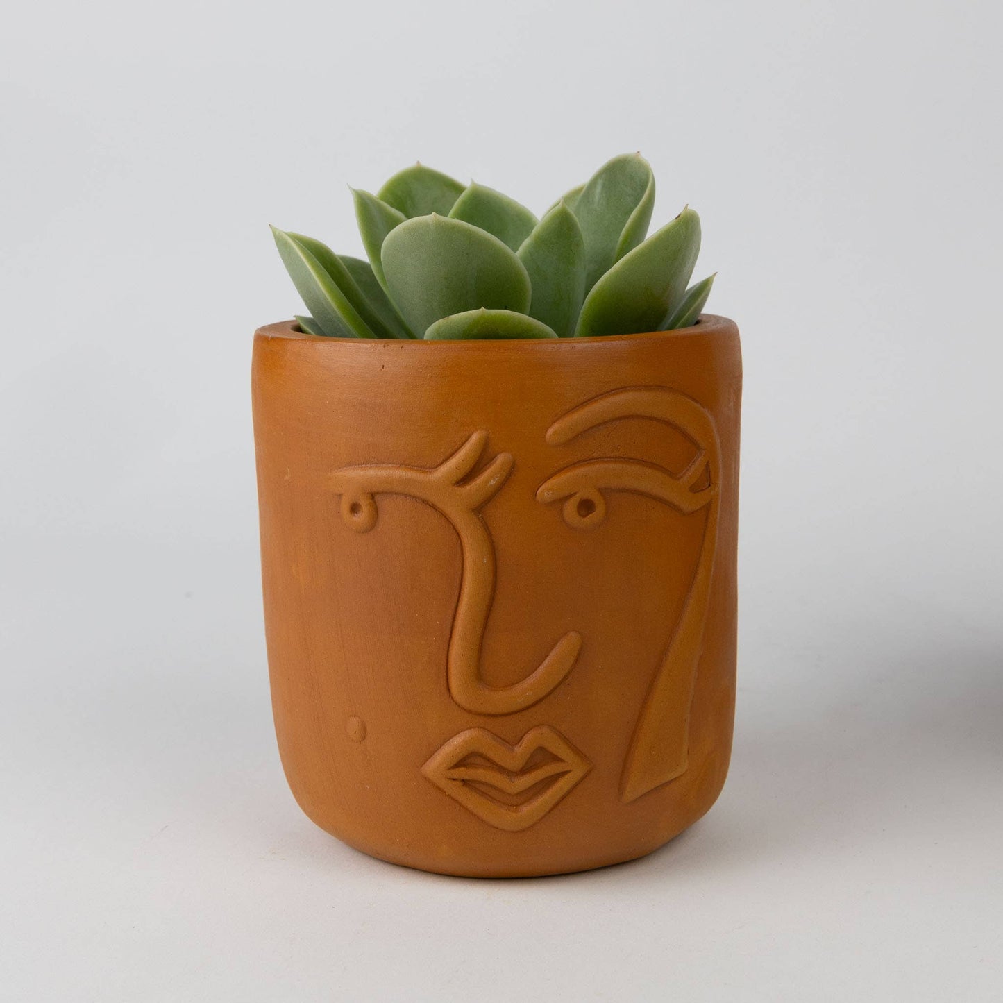 Full Lashes Terracotta Face Planter 4"