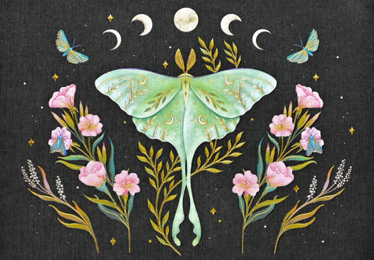 Decorative illustration of a green moth, pink flowers, and moons on a dark background