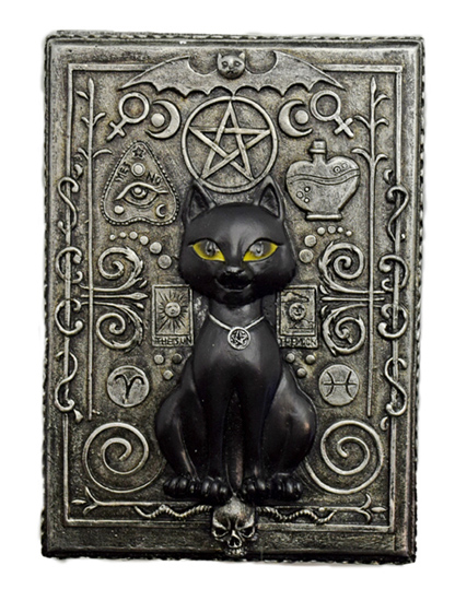 Magical Cat Box