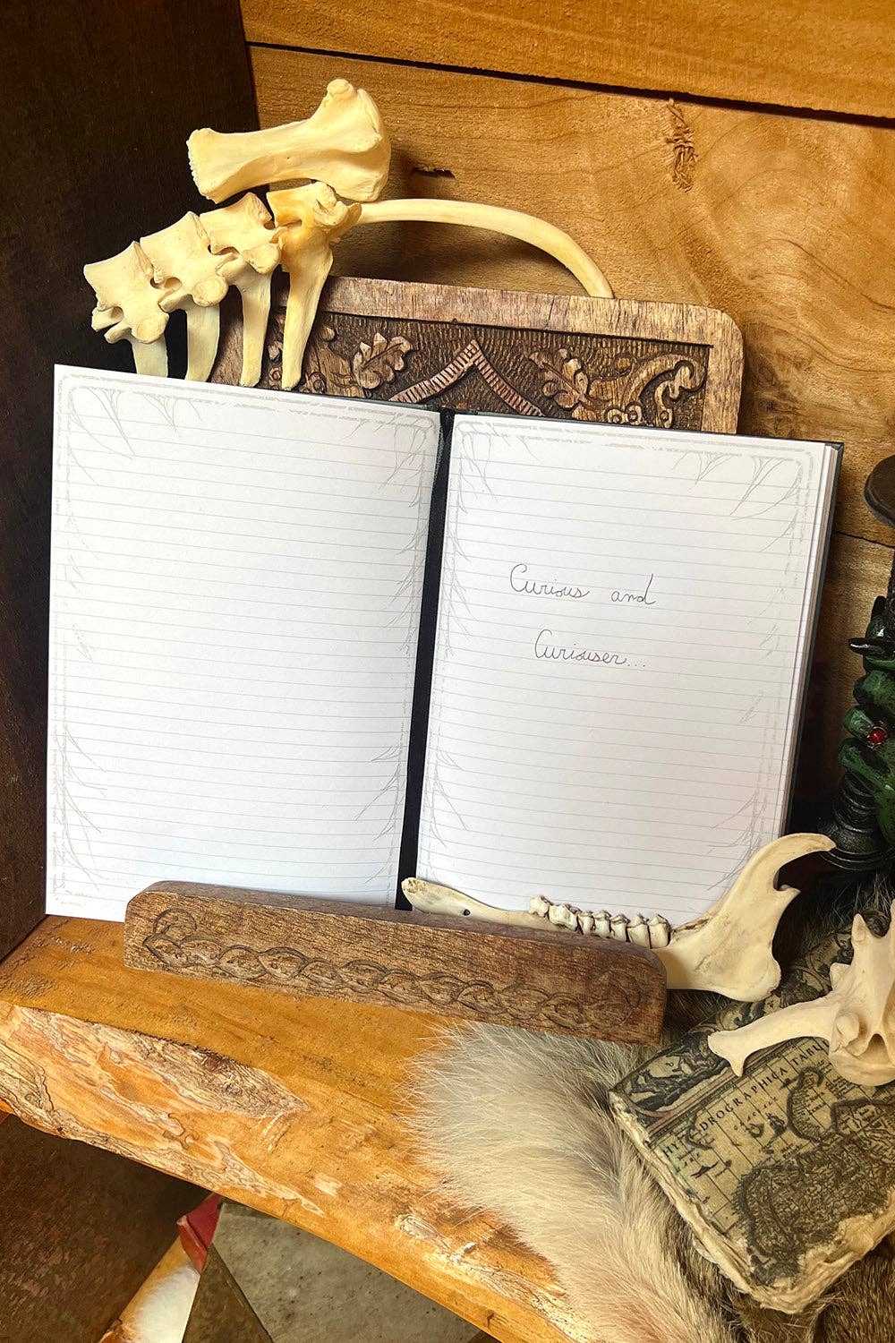 Alice in Murderland Journal