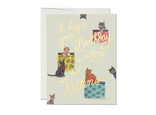 Nothing But Kittens birthday greeting card